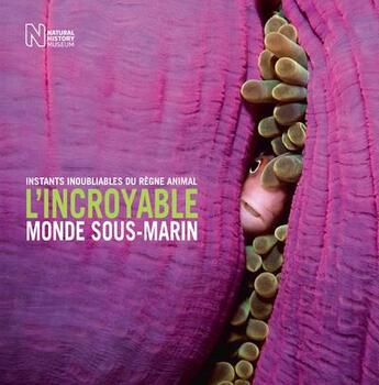 Couverture du livre « L'incroyable monde sous-marin » de Rosamund Kidman Cox aux éditions White Star