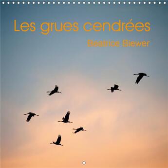 Couverture du livre « Les grues cendrées (Calendrier mural 2020 300 × 300 mm Square) ; Le vol des grands migrateurs (Calendrier mensuel, 14 Pages ) » de Beatrice Biewer aux éditions Calvendo