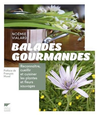 Couverture du livre « Balades gourmandes » de Noemie Vialard aux éditions Delachaux & Niestle