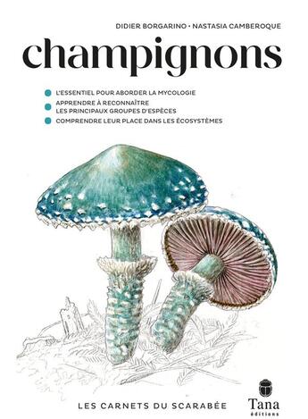 Couverture du livre « Champignons » de Didier Borgarino et Nastasia Camberoque aux éditions Tana