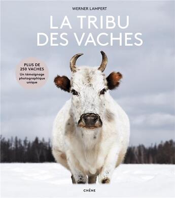 Couverture du livre « La tribu des vaches ; des aurochs aux vaches sacrées » de Werner Lampert aux éditions Chene