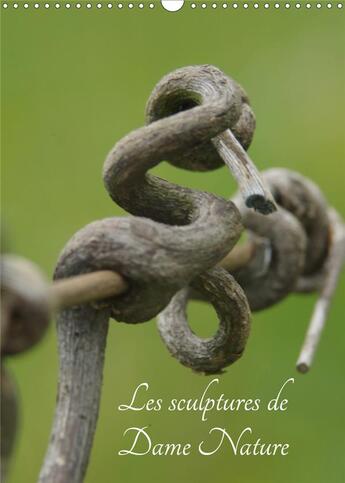 Couverture du livre « Les sculptures de dame nature calendrier mural 2020 din a3 vertical - toutes les beautee de la natur (édition 2020) » de Yaffee David aux éditions Calvendo