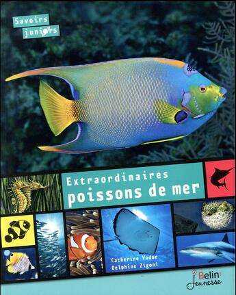 Couverture du livre « Extraordinaires poissons de mer » de Catherine Vadon et Delphine Zignoi aux éditions Belin Education