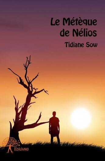 Couverture du livre « Le métèque de Nélios » de Tidiane Sow aux éditions Edilivre