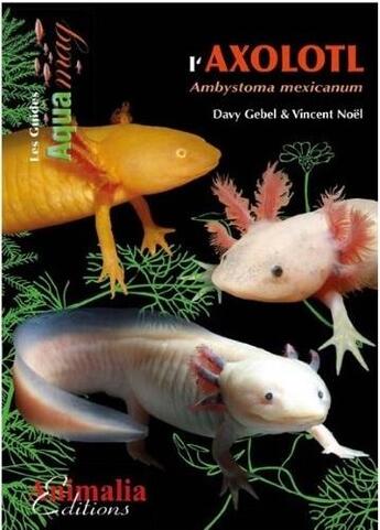 Couverture du livre « L'Axolotl » de Vincent Noel et Davy Gebel aux éditions Animalia