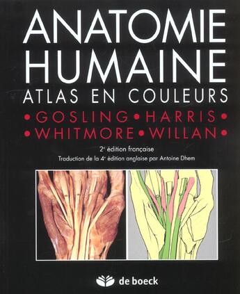 Couverture du livre « Anatomie humaine ; atlas en couleur » de Gosling aux éditions De Boeck Superieur
