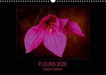 Couverture du livre « Fleurs 2020 fr version calendrier mural 2020 din a3 horizontal - fleurs avec texture calendrier » de Ushie Farkas aux éditions Calvendo