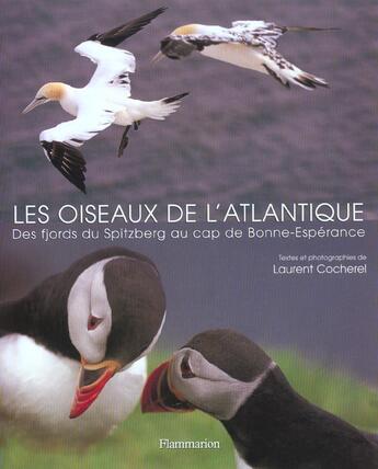 Couverture du livre « Les Oiseaux De L'Atlantique ; Des Fjords Du Spitzberg Au Cap De Bonne-Esperance » de Laurent Cocherel aux éditions Flammarion