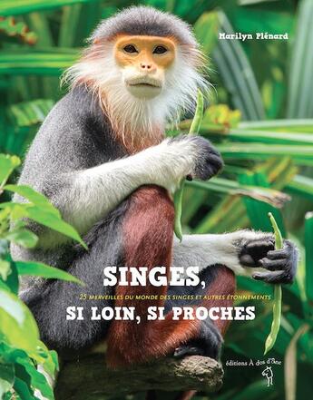 Couverture du livre « Singes si loin si proches » de Marilyn Plenard aux éditions A Dos D'ane