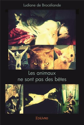 Couverture du livre « Les animaux ne sont pas des betes » de De Broceliande L. aux éditions Edilivre