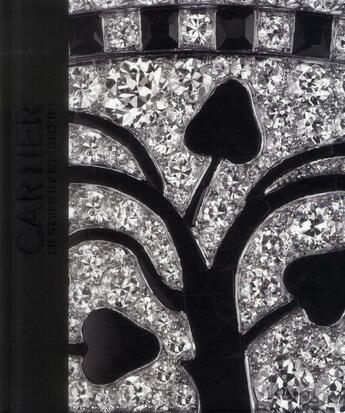 Couverture du livre « Cartier, le style et l'histoire » de  aux éditions Reunion Des Musees Nationaux