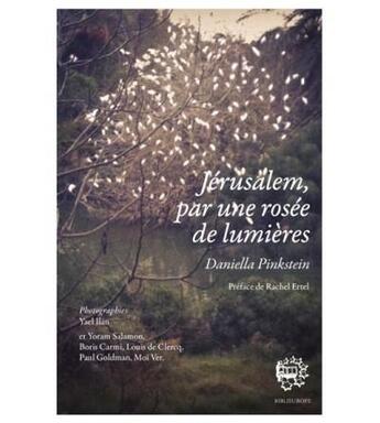 Couverture du livre « Jérusalem, par une rosée de lumières » de Daniella Pinkstein aux éditions Biblieurope