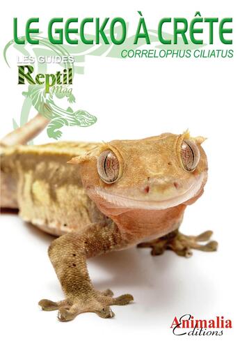 Couverture du livre « Le gecko à crête de Nouvelle-Calédonie : Correlophus, anc. rhacodactylus ciliatus » de Bach Stefanie aux éditions Animalia