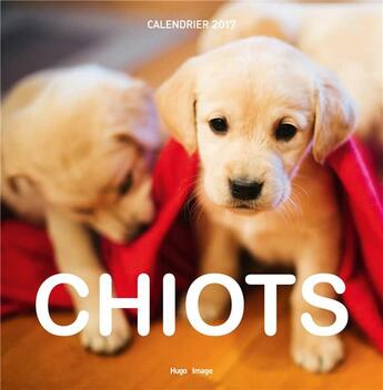 Couverture du livre « Calendrier mural chiots 2017 » de  aux éditions Hugo Image