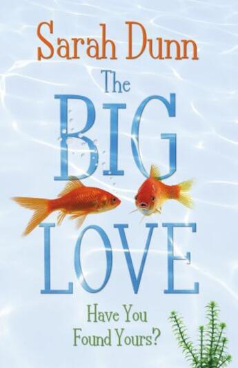 Couverture du livre « The Big Love » de Dunn Sarah aux éditions Penguin Books Ltd Digital