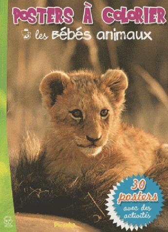 Couverture du livre « Posters à colorier ; les bébés animaux » de  aux éditions Piccolia