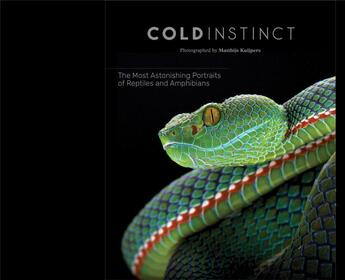 Couverture du livre « Matthijs kuijpers cold instinct » de Kuijpers Matthijs aux éditions Skira