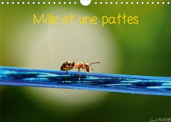 Couverture du livre « Mille et une pattes calendrier mural 2020 din a4 horizontal - photographie d insectes calend » de Lionel Marcu aux éditions Calvendo