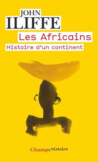 Couverture du livre « Les africains - histoire d'un continent » de John Iliffe aux éditions Flammarion