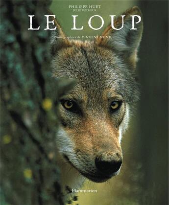 Couverture du livre « Le loup » de Delfour/Huet/Munier aux éditions Flammarion