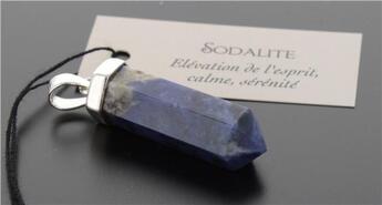 Couverture du livre « Pendentif sodalite forme pointe » de  aux éditions Dg-exodif