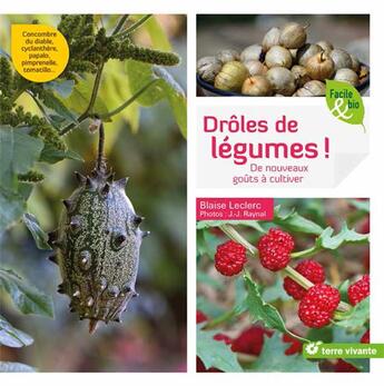 Couverture du livre « Drôles de légumes ! de nouveaux goûts à cultiver » de Blaise Leclerc et J-J Raynal aux éditions Terre Vivante