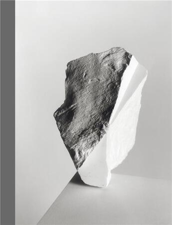 Couverture du livre « Darren harvey-regan the erratics » de Harvey-Regan Darren aux éditions Rvb Books