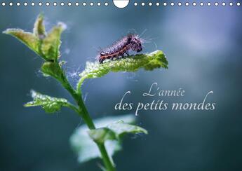 Couverture du livre « L annee des petits mondes calendrier mural 2018 din a4 horiz - a la decouverte des insectes d » de Gans C aux éditions Calvendo