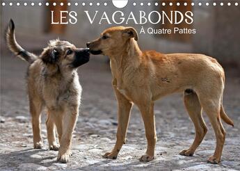 Couverture du livre « Les vagabonds a quatre pattes calendrier mural 2020 din a4 horizontal - des photos inhabituelles de » de Philippe Henry aux éditions Calvendo