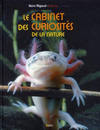 Couverture du livre « Le cabinet de curiosités de la nature » de Yann Rigaud aux éditions Belin Education