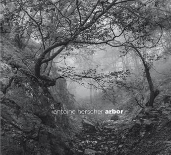 Couverture du livre « Arbor ; les arbres prennent la pose » de Jean-Paul Curnier et Antoine Herscher aux éditions Actes Sud