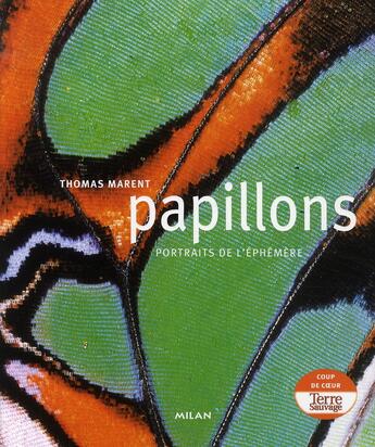 Couverture du livre « Papillons ; portraits de l'éphémère » de Thomas Marent aux éditions Milan