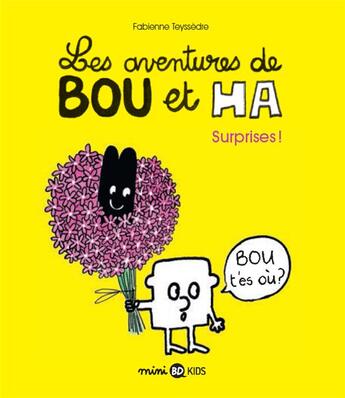 Couverture du livre « Les aventures de Bou et Ha t.1 : surprises ! » de Teyssedre Fabienne aux éditions Bd Kids