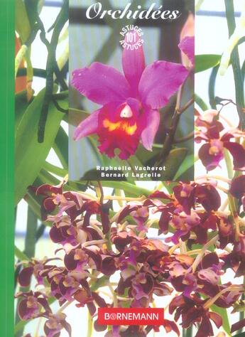Couverture du livre « 101 astuces orchidees » de Vacherot R aux éditions Bornemann