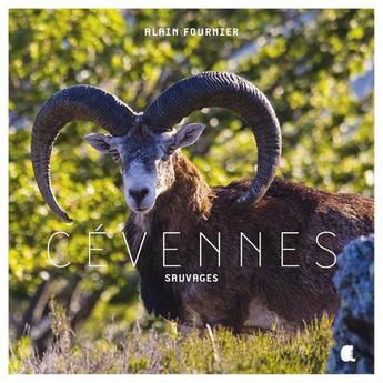 Couverture du livre « Cévennes sauvages » de Alain Fournier aux éditions Alcide