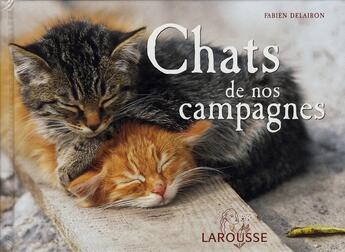 Couverture du livre « Chats de nos campagnes » de Fabien Delairon aux éditions Larousse