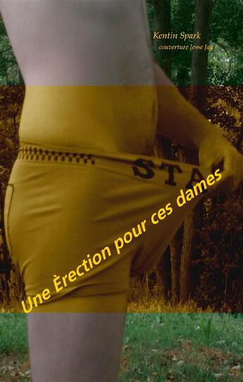 Couverture du livre « Une érection pour ces dames » de Kentin Spark aux éditions Books On Demand