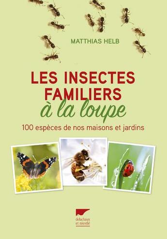 Couverture du livre « Les insectes familiers à la loupe » de Matthias Helb aux éditions Delachaux & Niestle