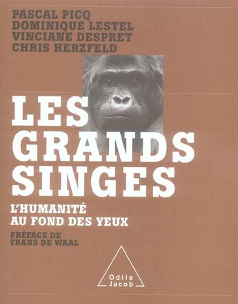 Couverture du livre « Les grands singes ; l'humanité au fond des yeux » de Pascal Picq et Dominique Lestel et Chris Herzfeld et Vinciane Despret aux éditions Odile Jacob