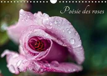 Couverture du livre « Poesie des roses calendrier mural 2018 din a4 horizontal - regardons une rose comme une t » de Mocanu C aux éditions Calvendo