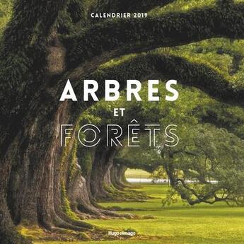 Couverture du livre « Calendrier arbres et forêts (édition 2019) » de  aux éditions Hugo Image