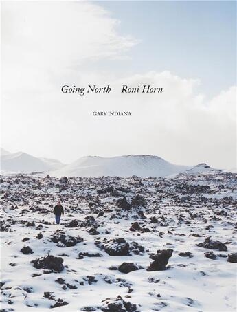 Couverture du livre « Roni horn going north » de Emily Wei Rales aux éditions Prestel