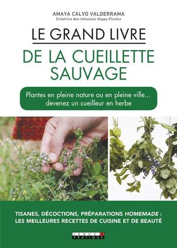 Couverture du livre « Le grand livre de la cueillette sauvage ; plantes en pleine nature, ou en pleine ville... devenez un cueilleur expert en herbe » de Amaya Calvo Valderrama aux éditions Leduc