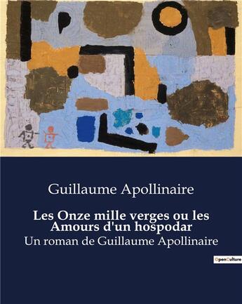 Couverture du livre « Les Onze mille verges ou les Amours d'un hospodar : Un roman de Guillaume Apollinaire » de Apollinaire G. aux éditions Culturea