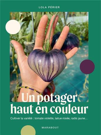 Couverture du livre « Un potager haut en couleur : Cultiver la variété : tomate violette, laitue rosée, radis jaune... » de Lola Pillu Perier aux éditions Marabout