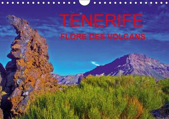 Couverture du livre « Tenerife flore des volcans calendrier mural 2018 din a4 hori - des champs de lave barioles de » de Bohin J aux éditions Calvendo