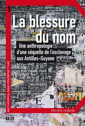 Couverture du livre « Blessure du nom ; une anthropologie d'une séquelle de l'esclavage aux Antilles, Guyane » de Philippe Chanson aux éditions Academia