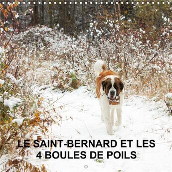 Couverture du livre « LE SAINT-BERNARD ET LES 4 BOULES DE POILS (Calendrier mural 2020 300 × 300 mm Square) ; Gardiennage de 5 animaux domestiques en pleine nature (Calendrier mensuel, 14 Pages ) » de Veronique Amiard aux éditions Calvendo