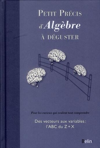 Couverture du livre « Petit précis d'algèbre à déguster » de Mickael Willers aux éditions Belin