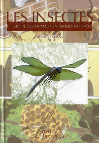 Couverture du livre « Les insectes » de Renato Massa aux éditions Odile Jacob